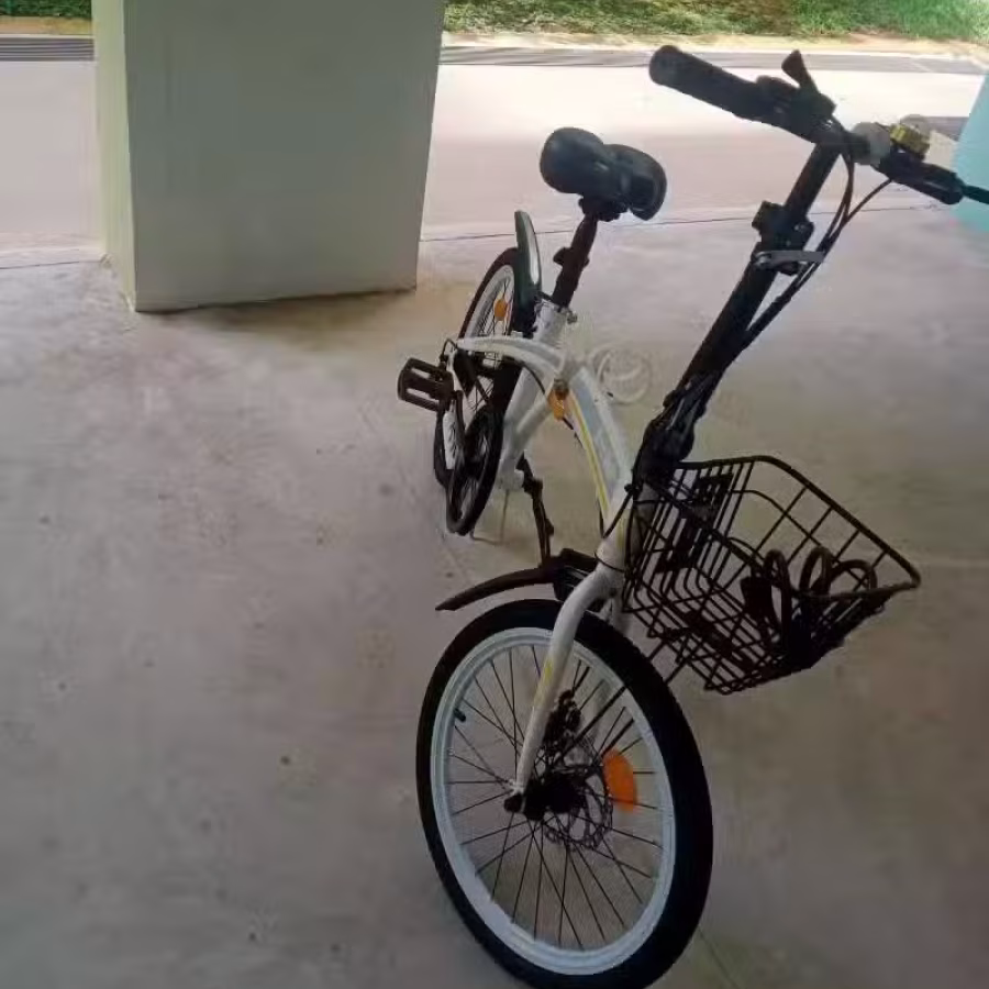 出售自行车 图片 1
