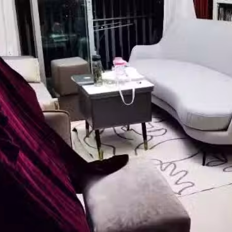 出售自用一年的品牌床垫+床架 和高级沙发 图片 4