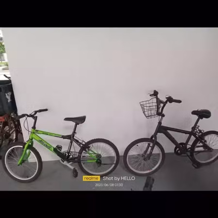 小辆自行车 图片 2
