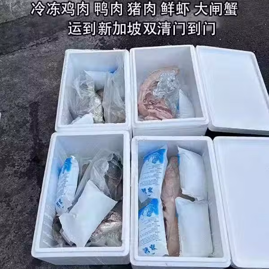 团购拼箱冷冻食品/半成品菜冷冻运输到新加坡 图片 2