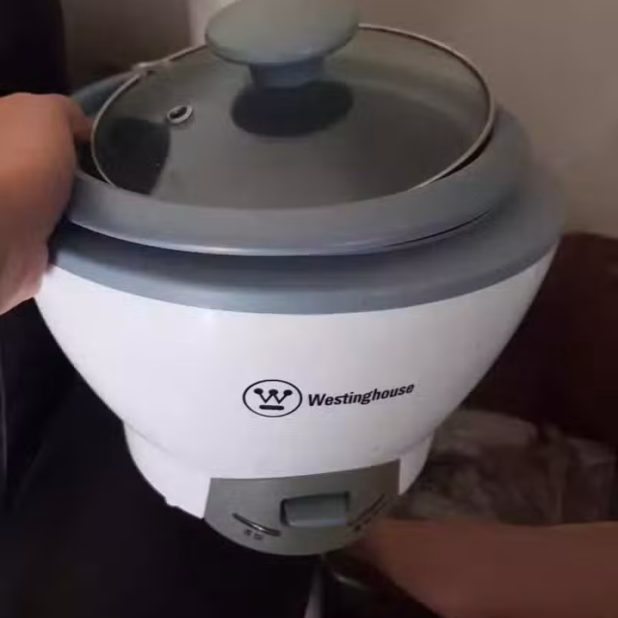 Wasting house 电饭锅 (一个人) 图片 1