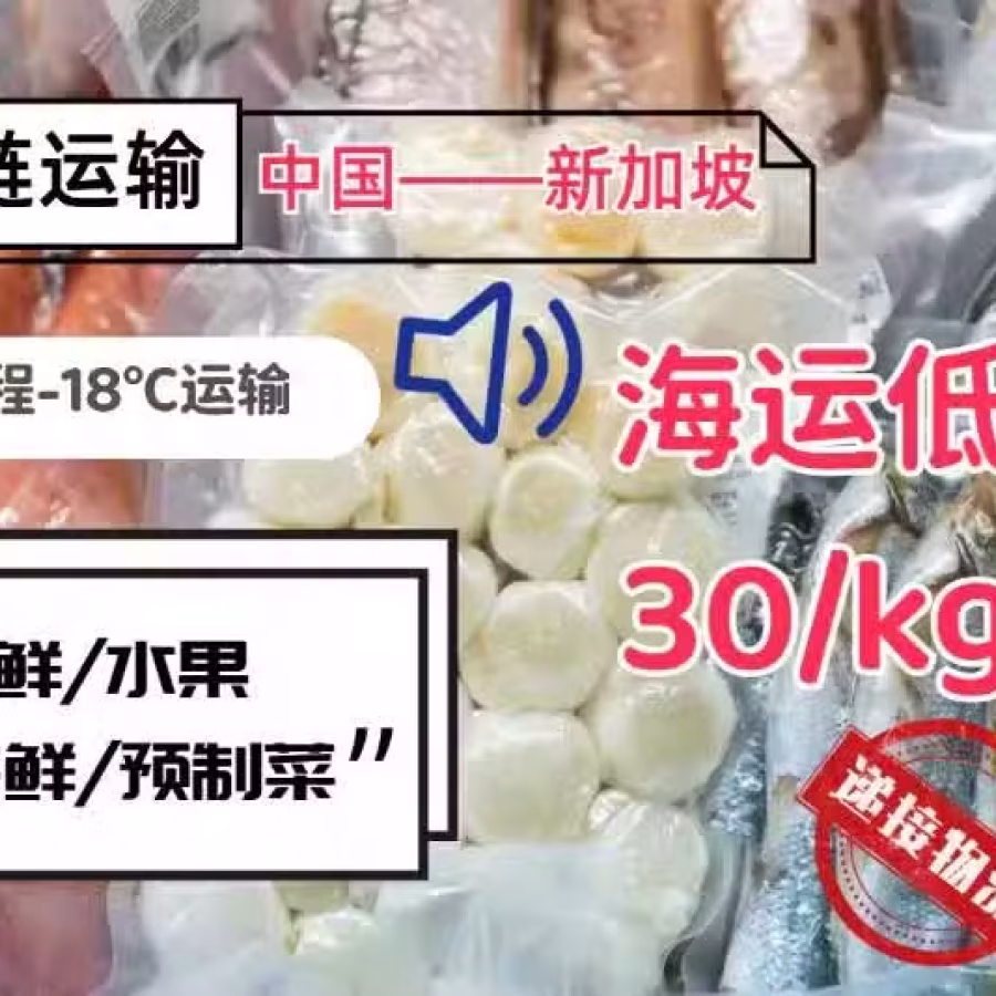 冷冻食品“乘风破浪”到新加坡都需要注意哪些问题？ 图片 1