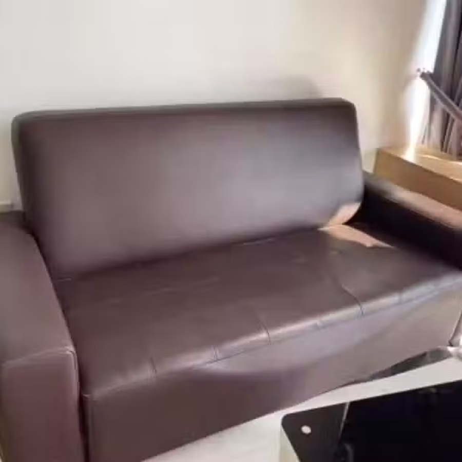 皮质双人沙发 图片 1