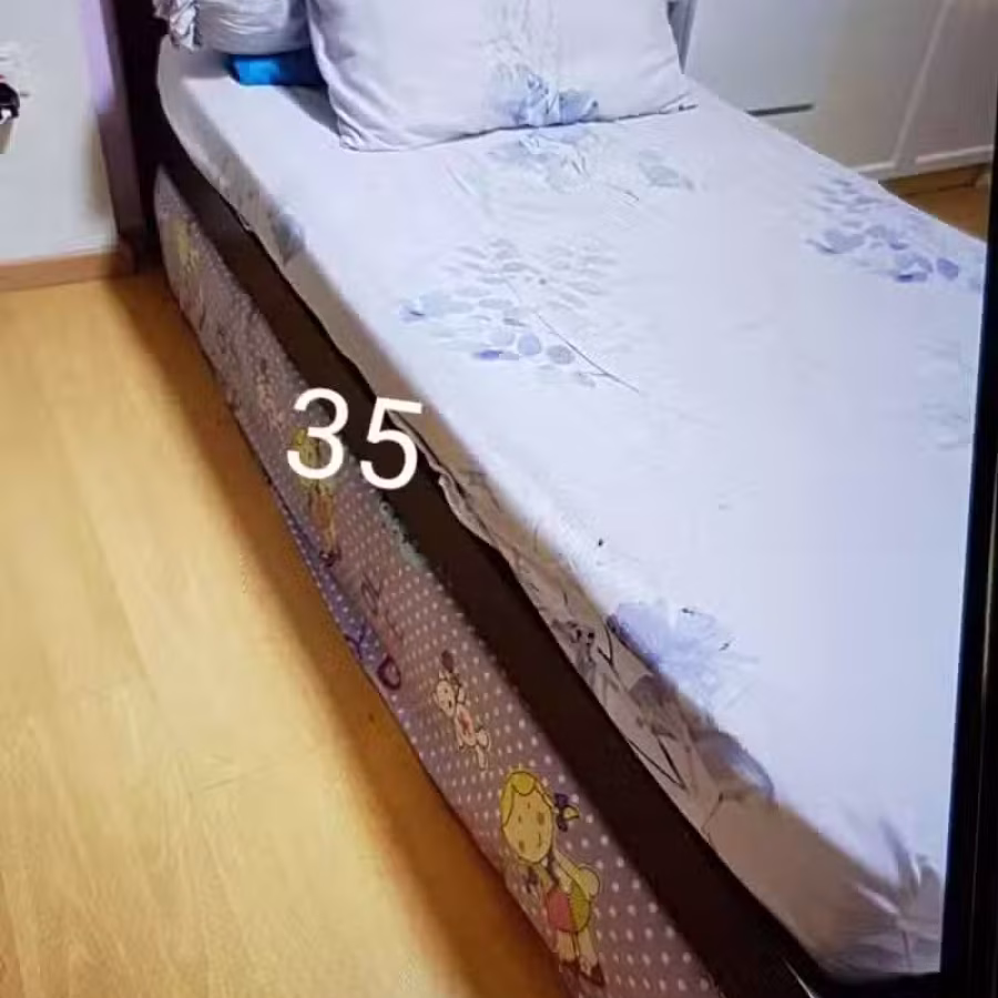 Single Frame only 单 床架  图片 2