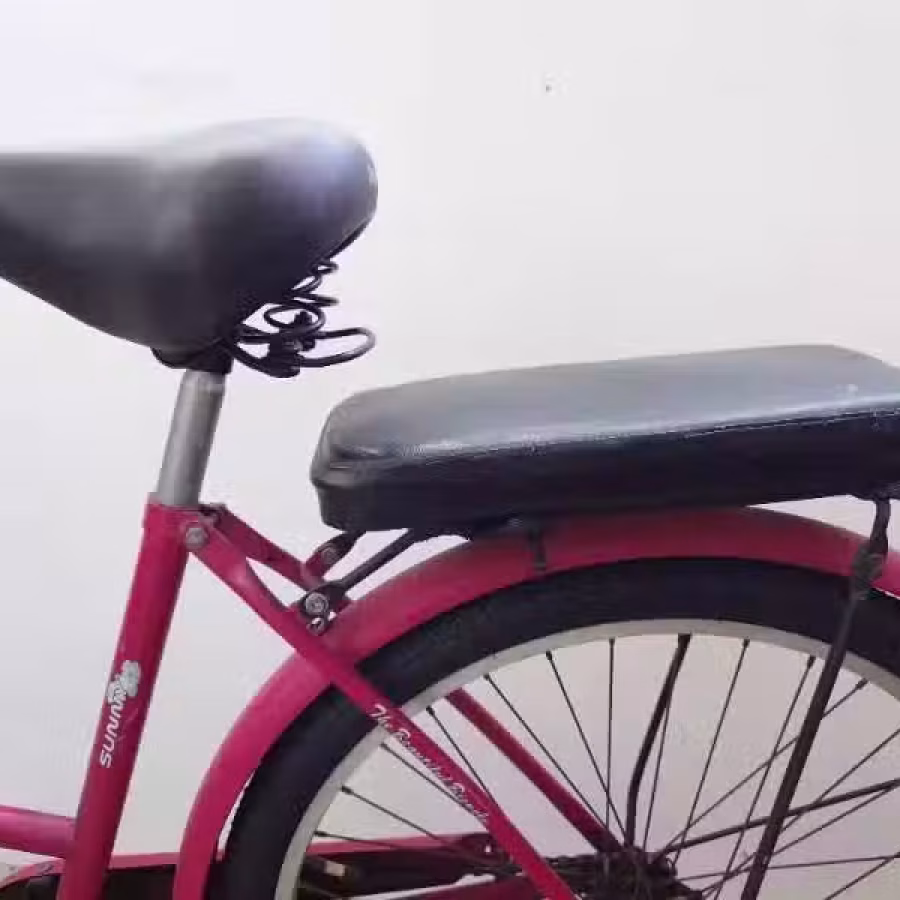 女式坤车 图片 2