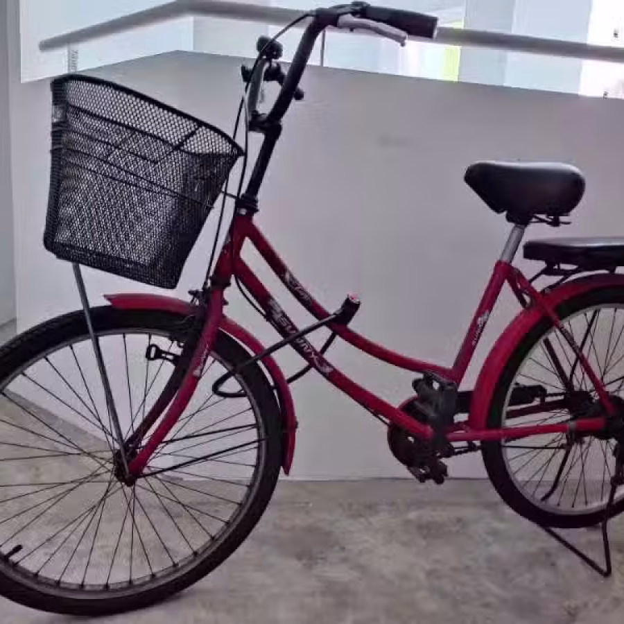 女式坤车 图片 4