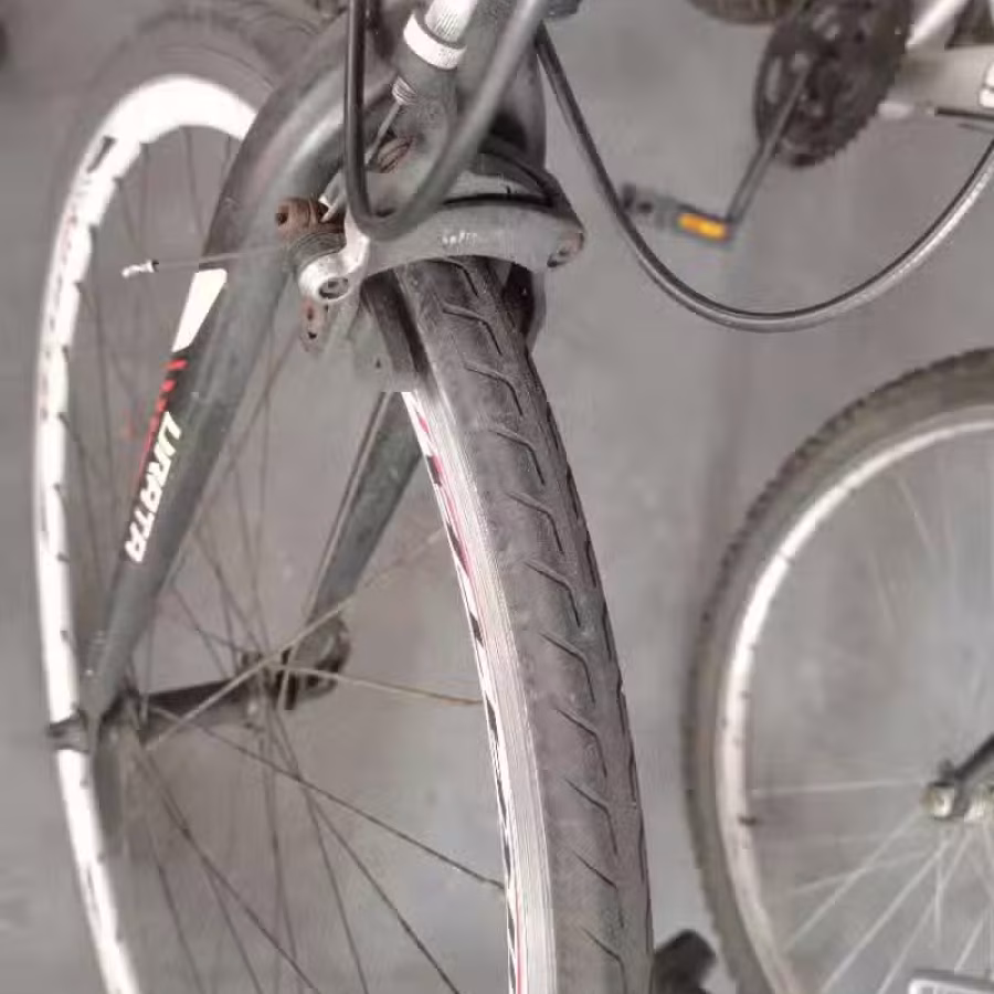 公路赛 图片 2