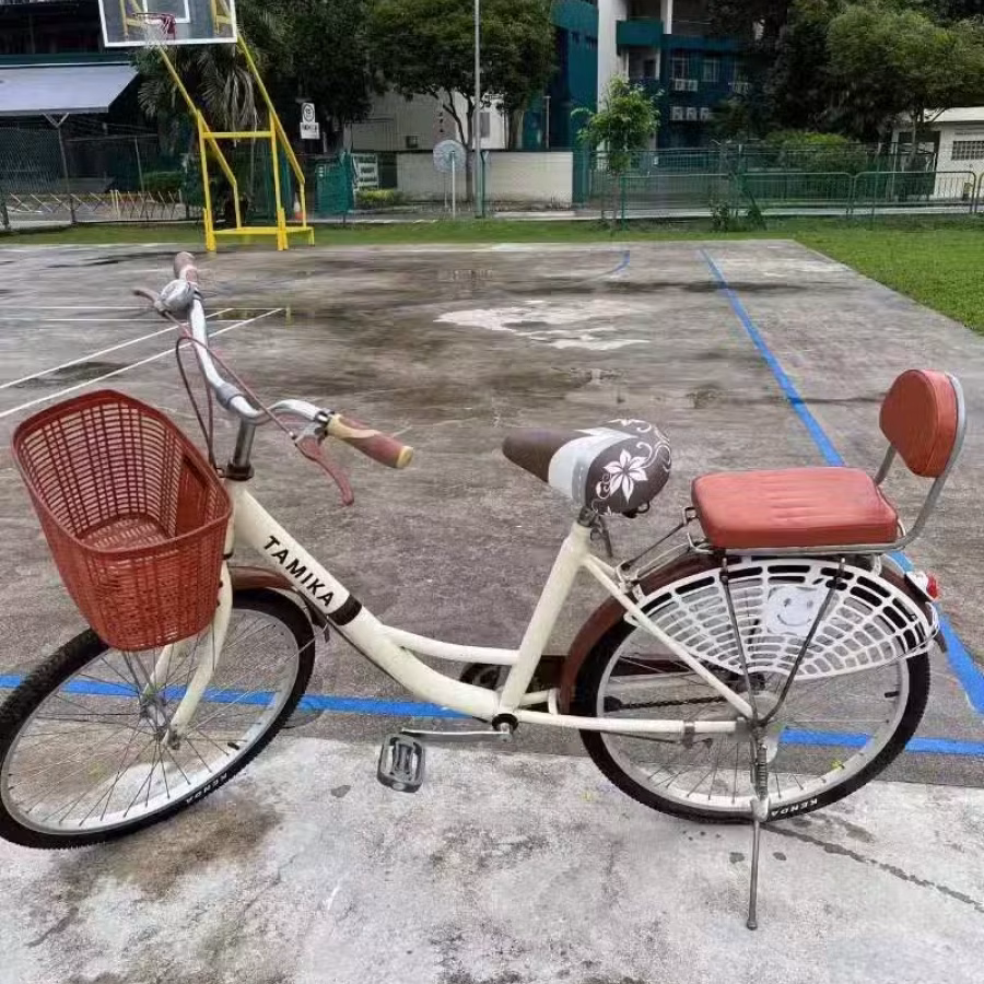 女士自行车，带婴儿座 图片 1