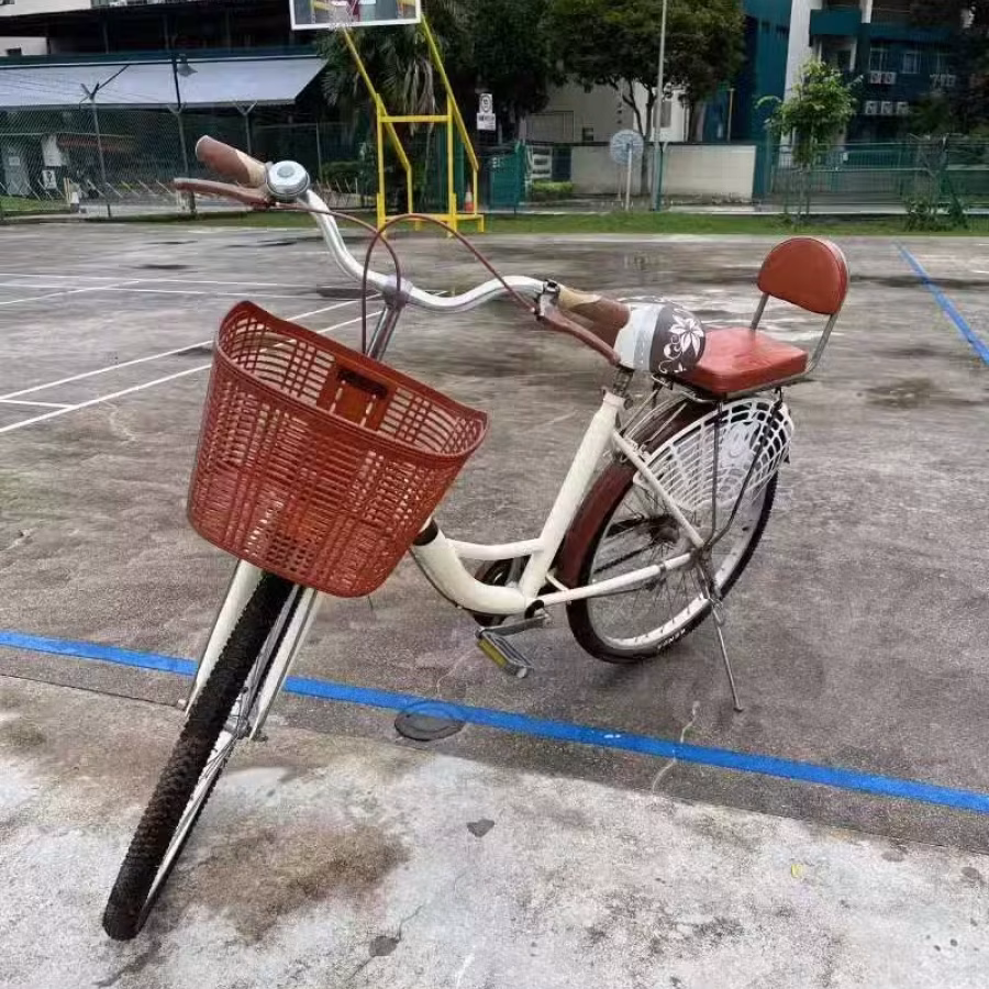 女士自行车，带婴儿座 图片 2