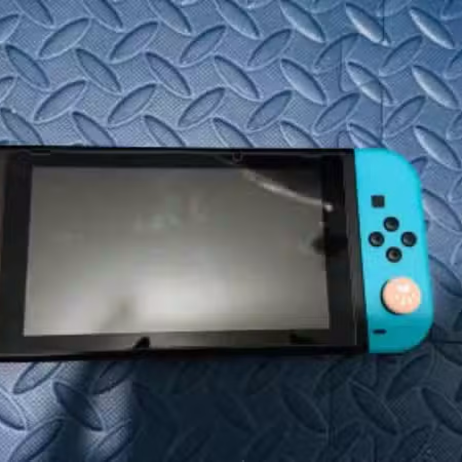 出二手自用switch续航版 图片 8