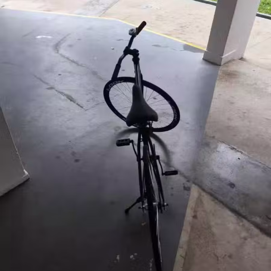 准新脚车 图片 1