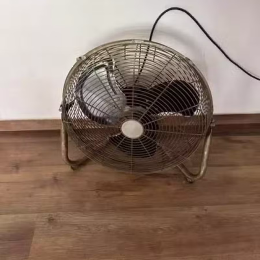 电风扇马西岭 图片 1