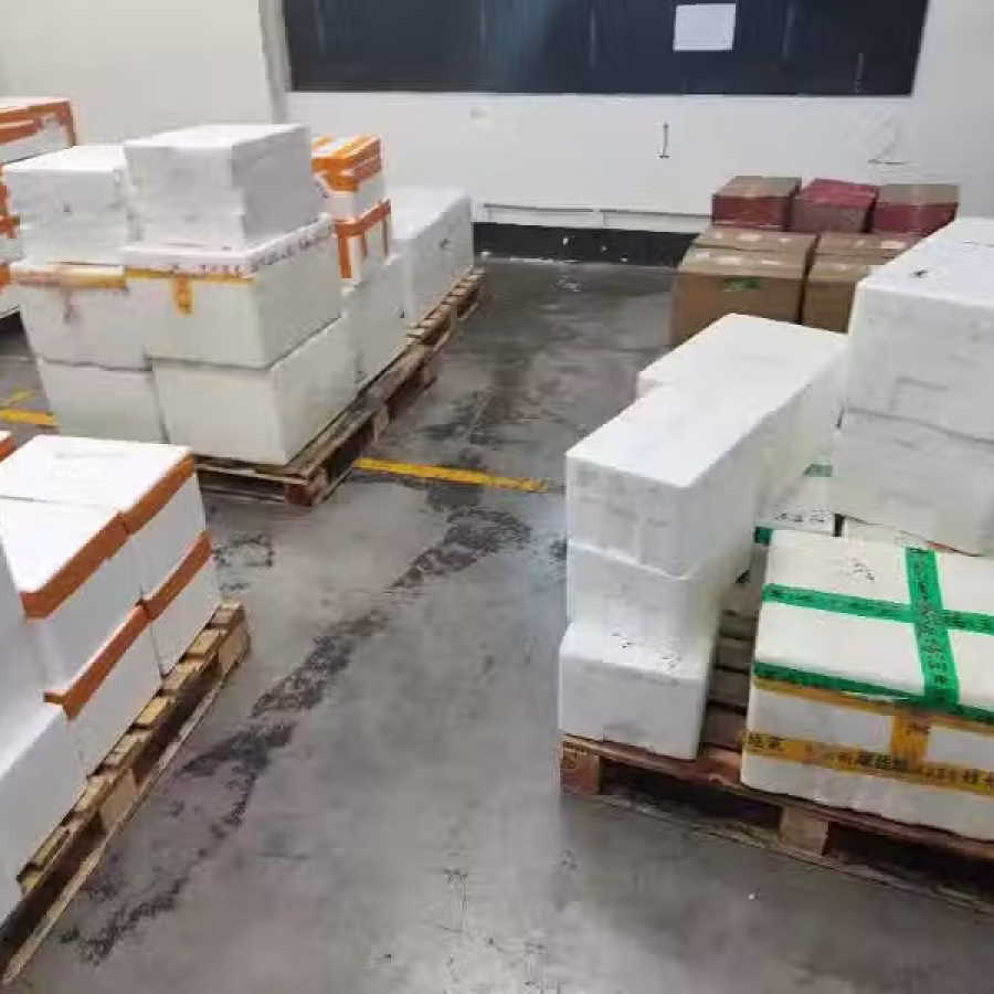 美食 图片 3
