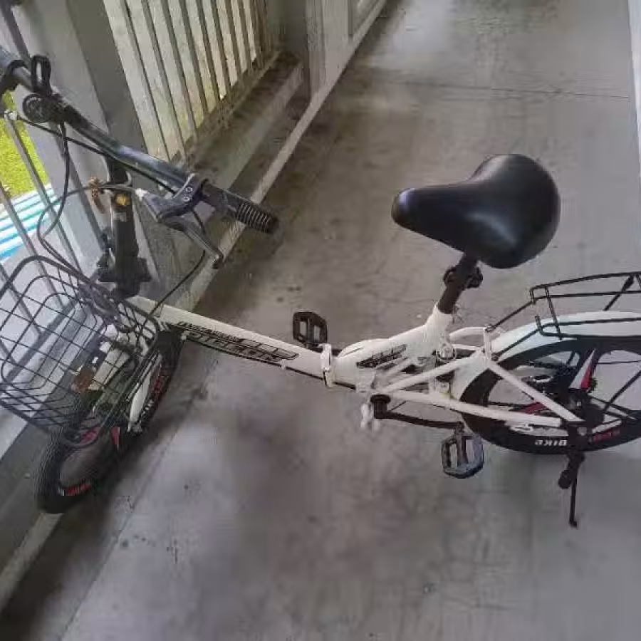 8成新折叠变速自行车 图片 1