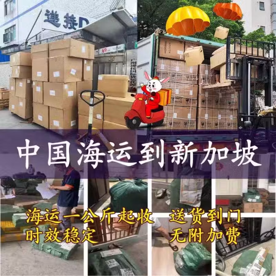 中国商品运输新加坡，海运整柜，拼箱，小包怎么选择？ 图片 1