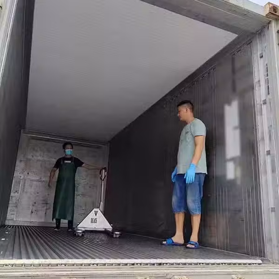 液氮冷冻鮰鱼生鱼片海运新加坡,助力佛山水产顺利出海新加坡 图片 3