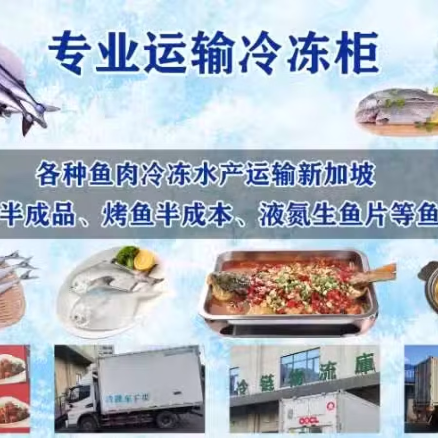 液氮冷冻鮰鱼生鱼片海运新加坡,助力佛山水产顺利出海新加坡 图片 6