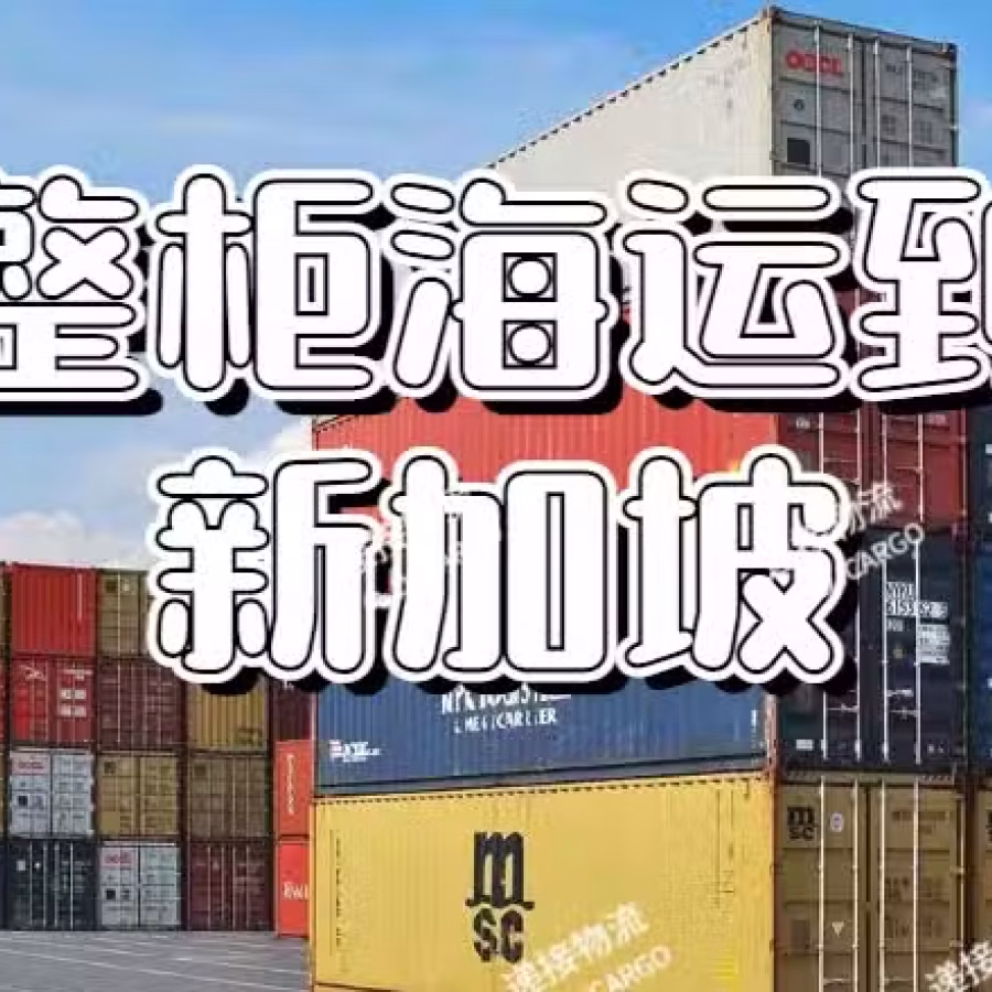 宁波20GP/40GP/40HQ集装箱整柜海运到新加坡 图片 1
