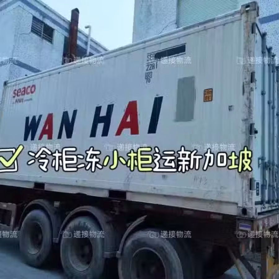 冷冻柜整柜海运新加坡，正确的问价方式和运输流程 图片 1