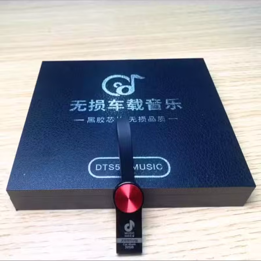 车载优盘听歌曲 图片 2
