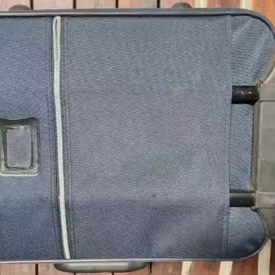 20寸蓝色行李箱旅行箱trunk 图片 6