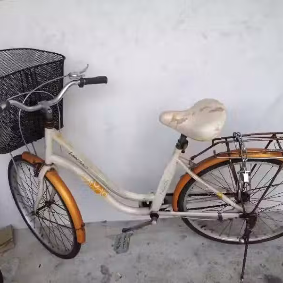 7成新自行车 图片 1