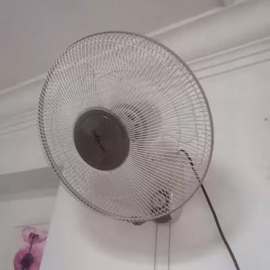 风扇 图片 2