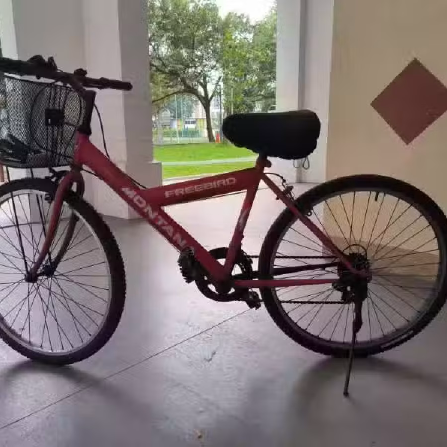 自行车    图片 1