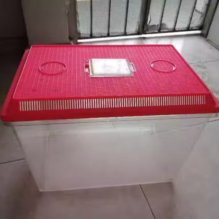宠物箱 图片 1