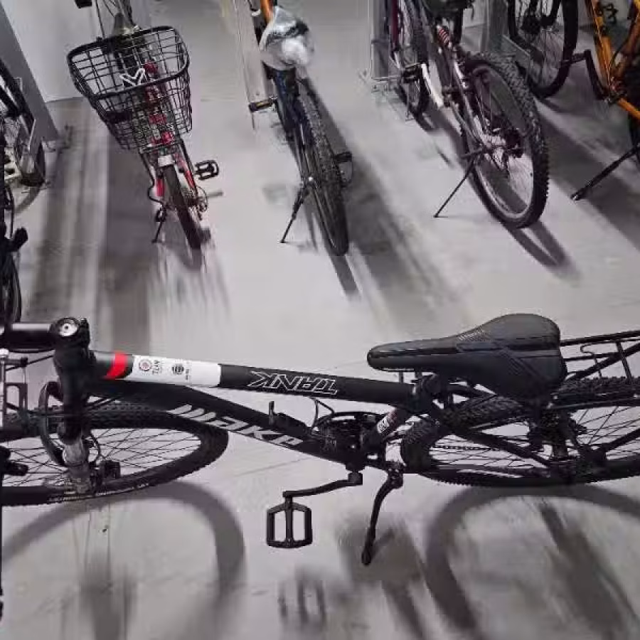 脚车 图片 3