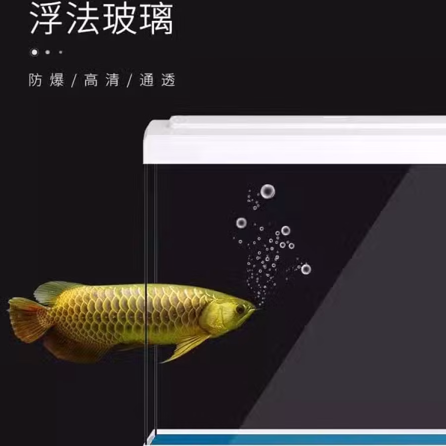 鱼缸+全新全套配件和工具 图片 5