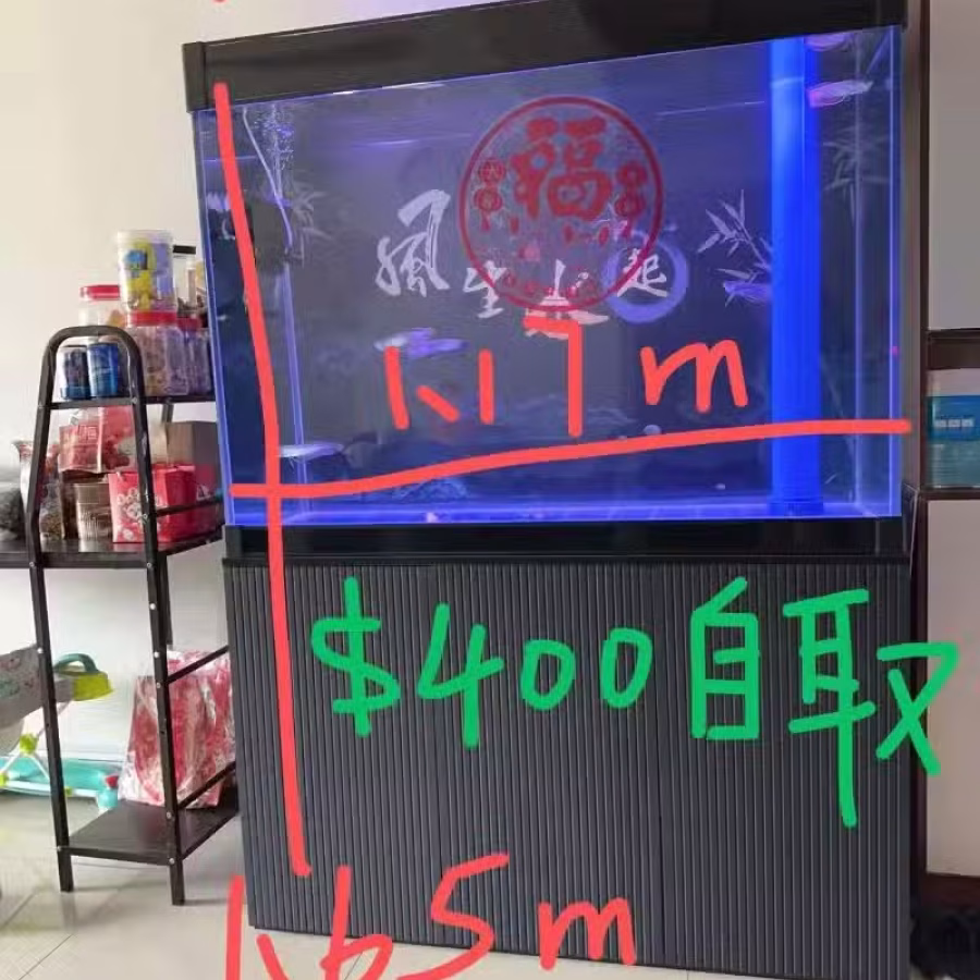 鱼缸 图片 1