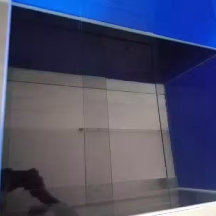 鱼缸 图片 2