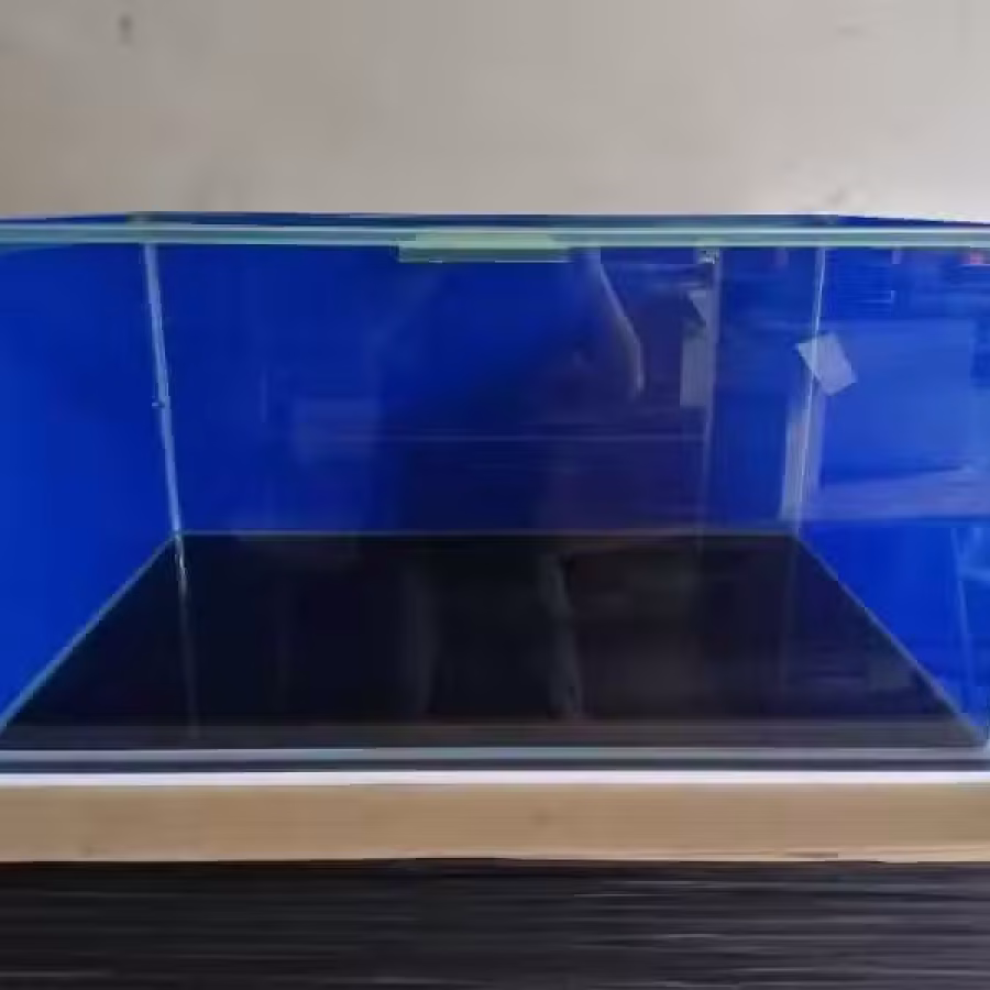 鱼缸 图片 4