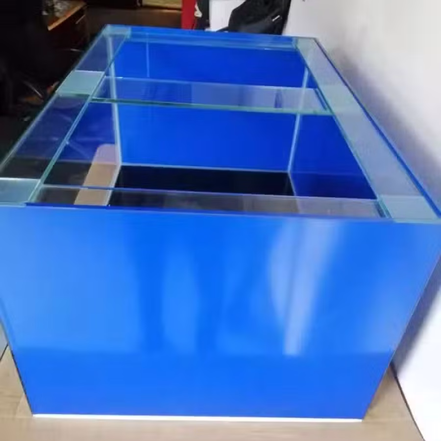 鱼缸 图片 5