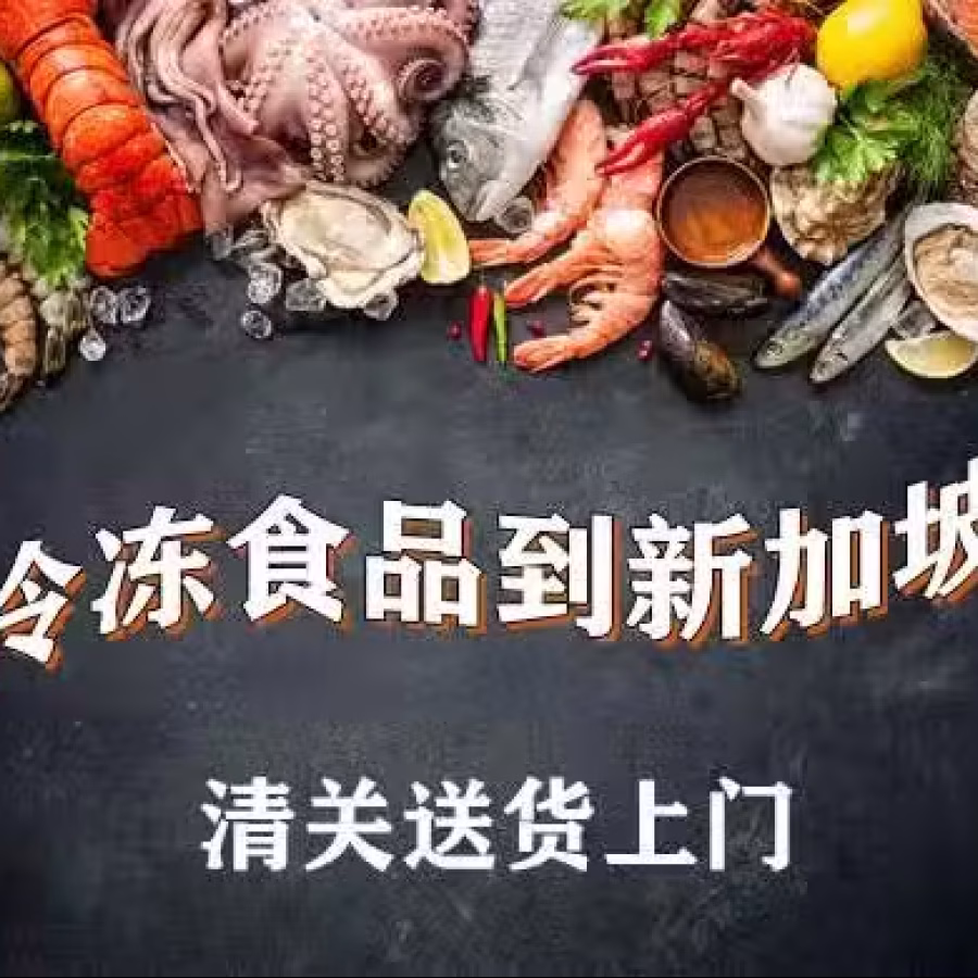 火锅料冷冻海鲜食品海运到新加坡，新加坡冷冻食品运输 图片 1