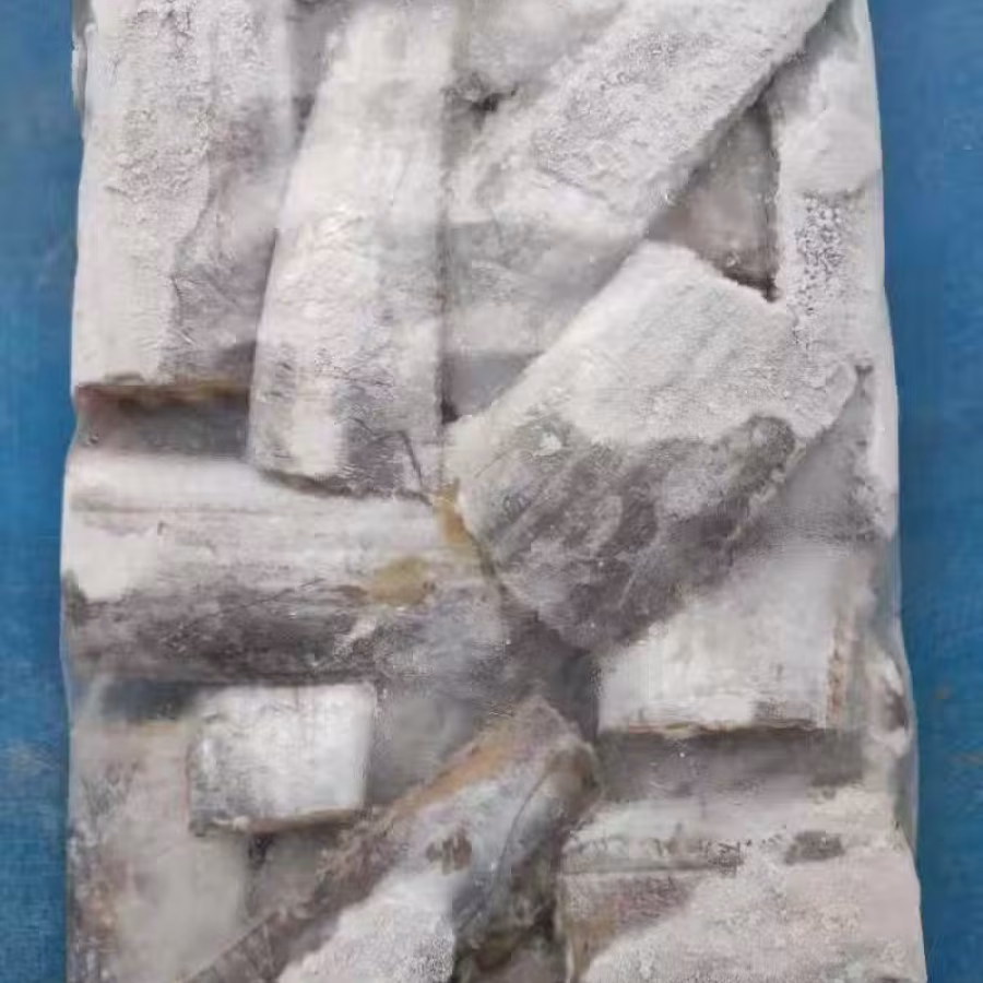深海带鱼 图片 1