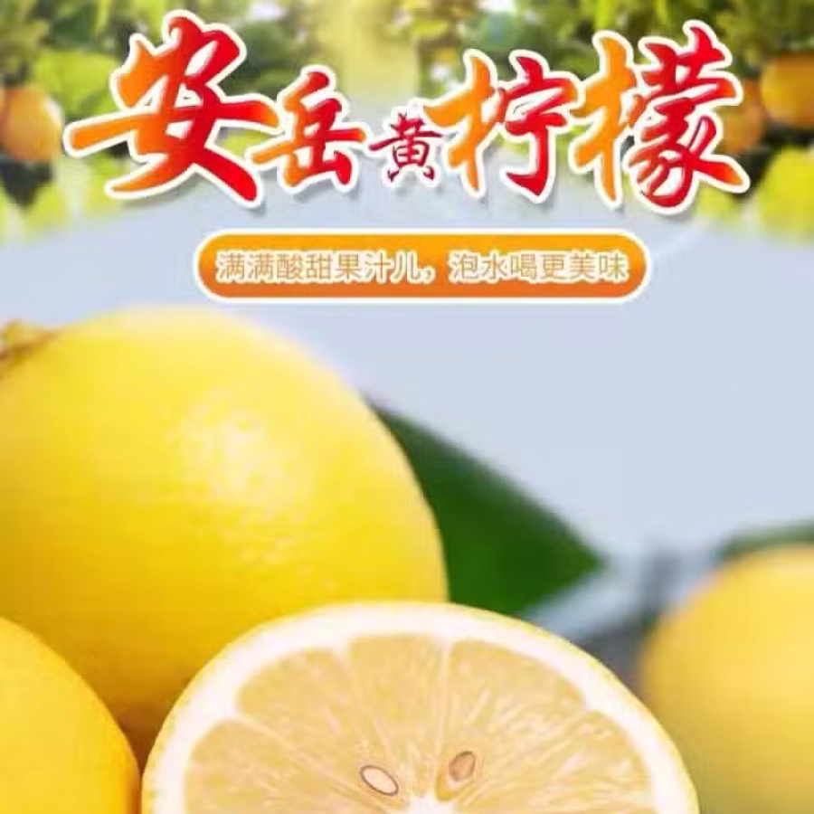 柠檬 图片 2