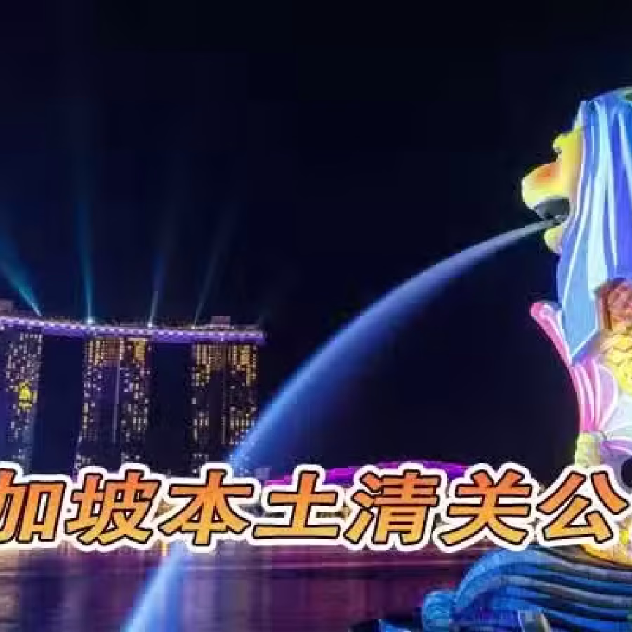 新加坡本地清关公司,韩国海运新加坡清关公司 图片 3