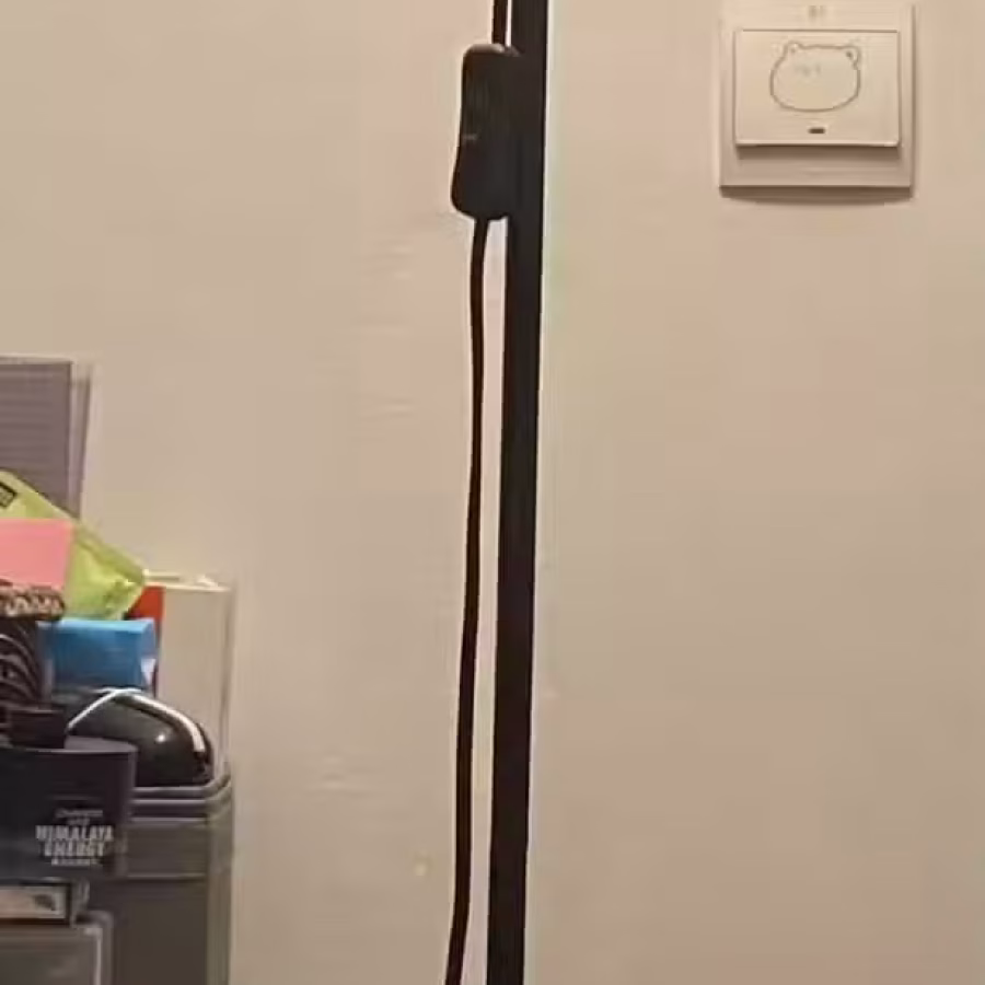落地灯 图片 1