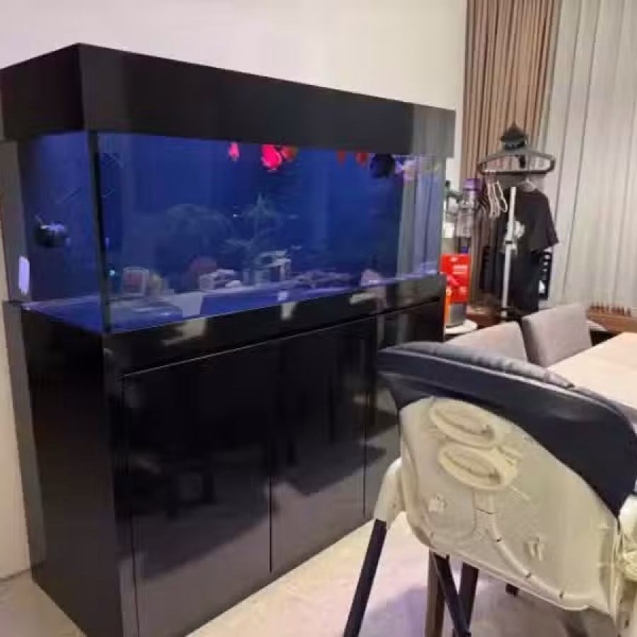 鱼缸 图片 1
