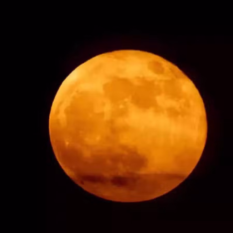 失眠克星。一觉到天亮 图片 1