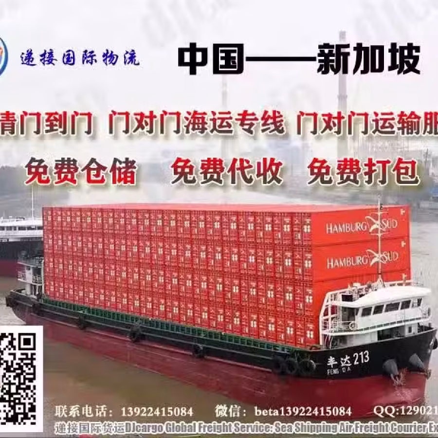 专注于到从中国到新加坡的物流运输服务 图片 1