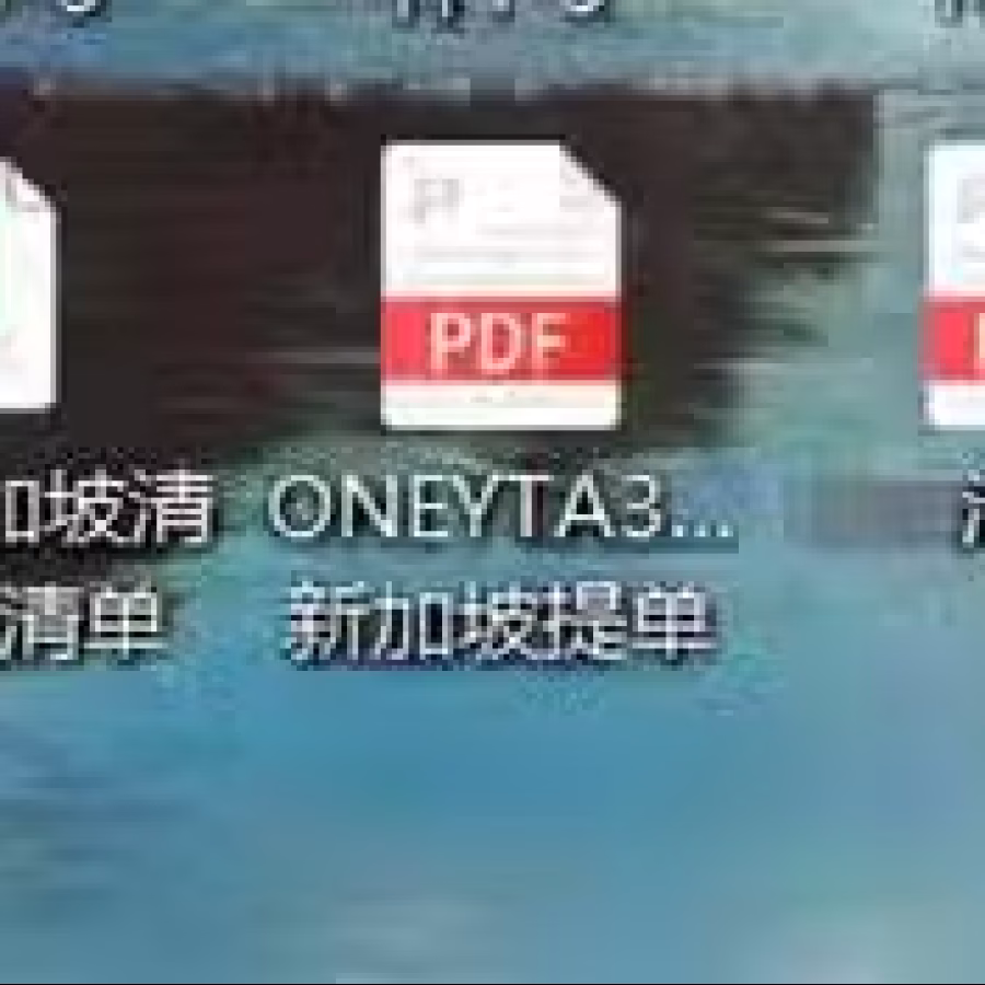 健身器材新加坡清关派送,承接全球空运/海运到新加坡清关派送服务 图片 2