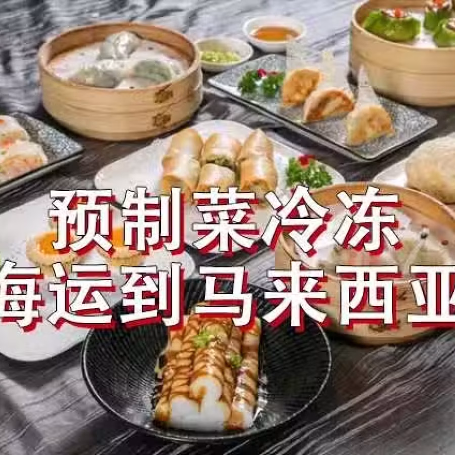 预制菜冷冻海运马来西亚,马来西亚冷冻海运拼箱双清到门 图片 7