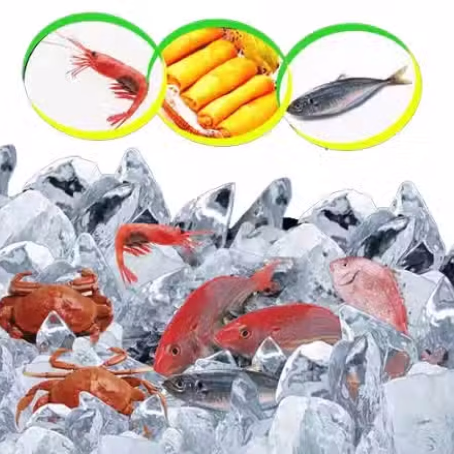 水果柠檬空运新加坡，新加坡冷链物流,冷冻生鲜食品运输新加坡急速2天派送到门 图片 2