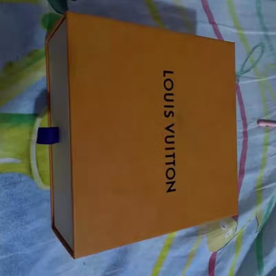 LV 图片 3