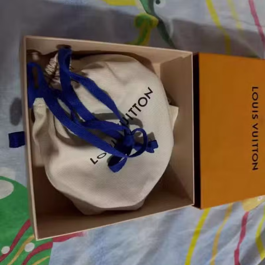 LV 图片 6