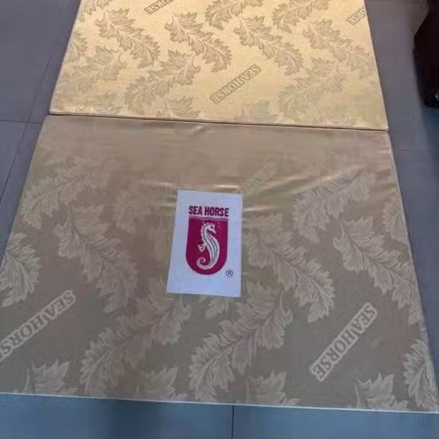 全新 床垫 海马  图片 1