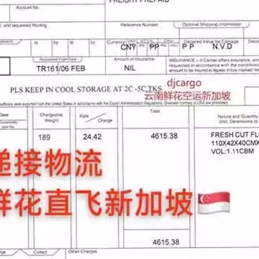云南鲜花空运冷藏运输新加坡,新加坡鲜花清关需要什么资料 图片 1
